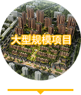 大型规模项目