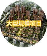 大型规模项目