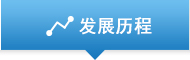 发展历程
