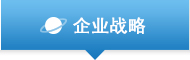 企业战略